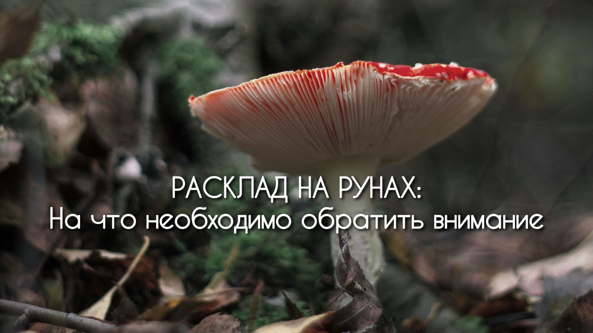 РАСКЛАД НА РУНАХ: НА ЧТО НЕОБХОДИМО ОБРАТИТЬ ВНИМАНИЕ смотреть онлайн