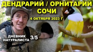 Дендрарий. Орнитарий. Сочи. 4 октября 2023 г. Дневник натуралиста 3-й из 5