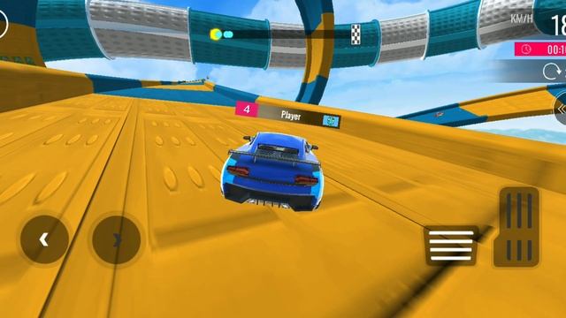 Extreme Racing Simulator