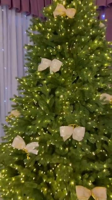 IMG_0492 (1) смотреть онлайн