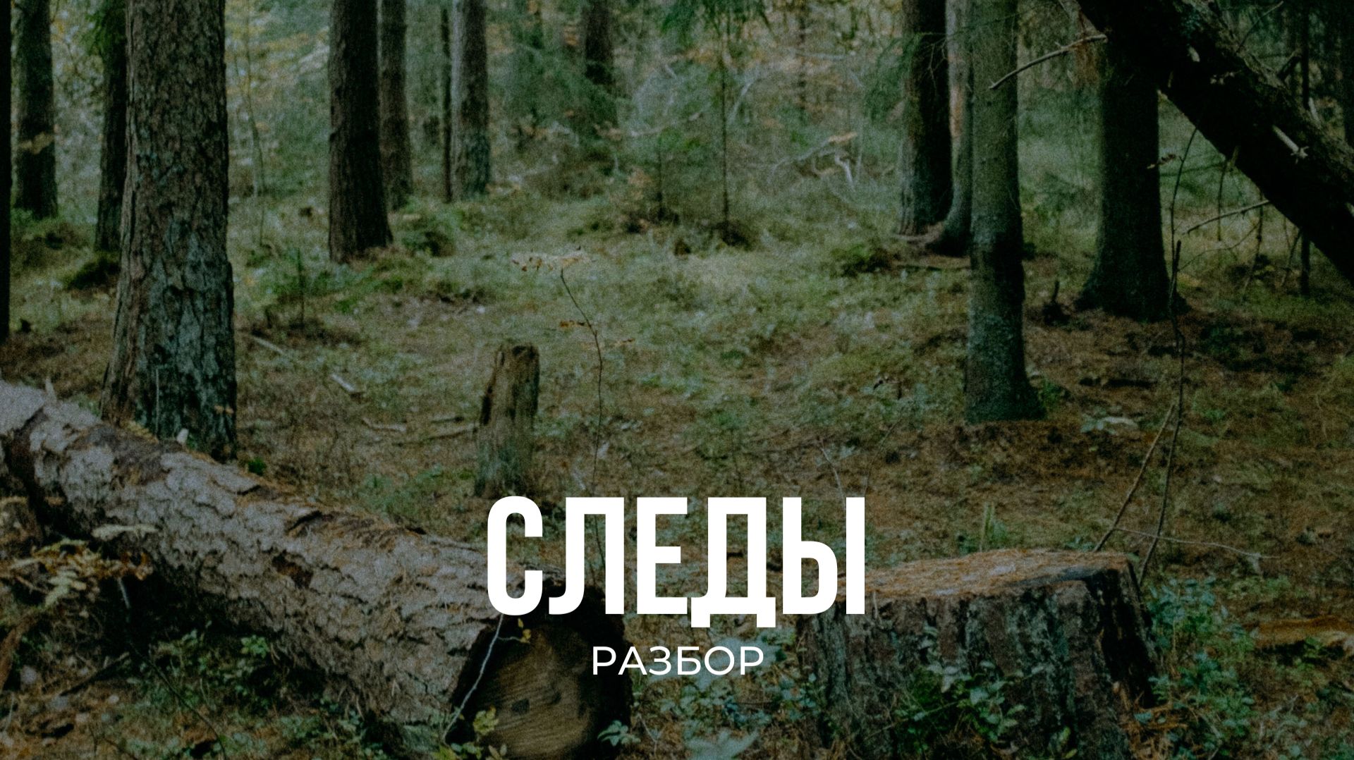 Разбор. Следы