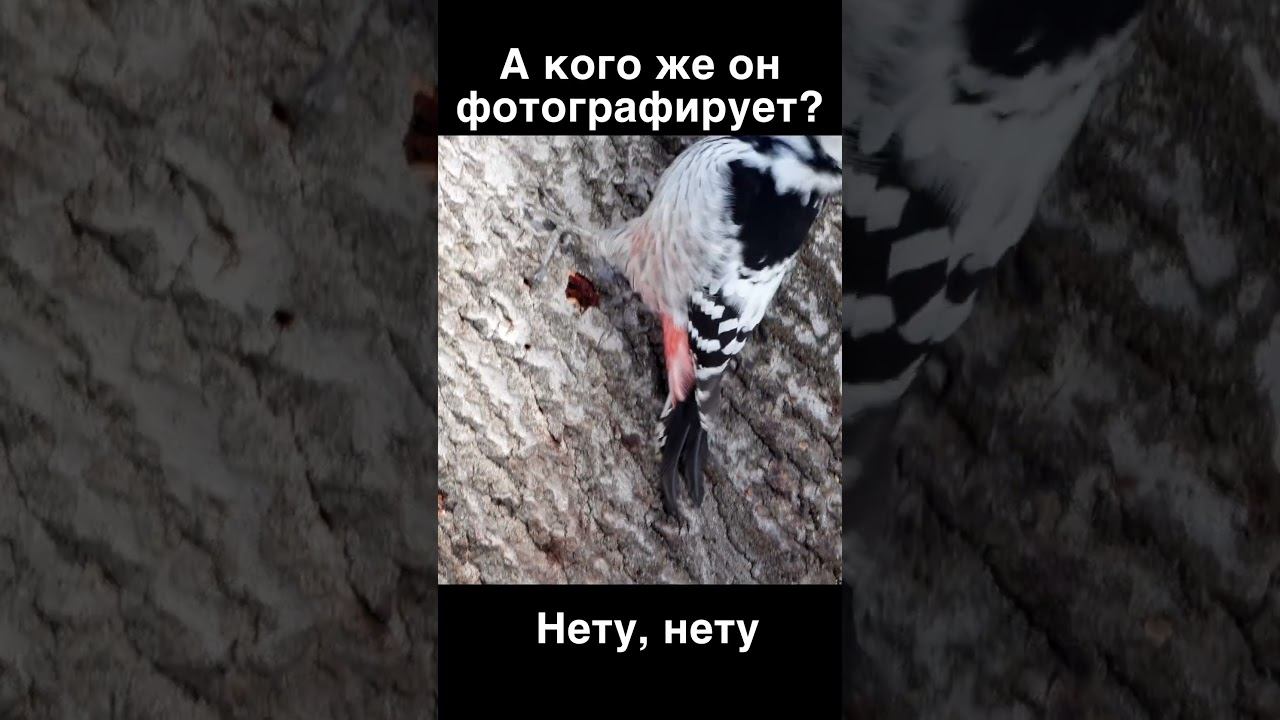 Он не фотографирует. Это геодезия. #shorts смотреть онлайн