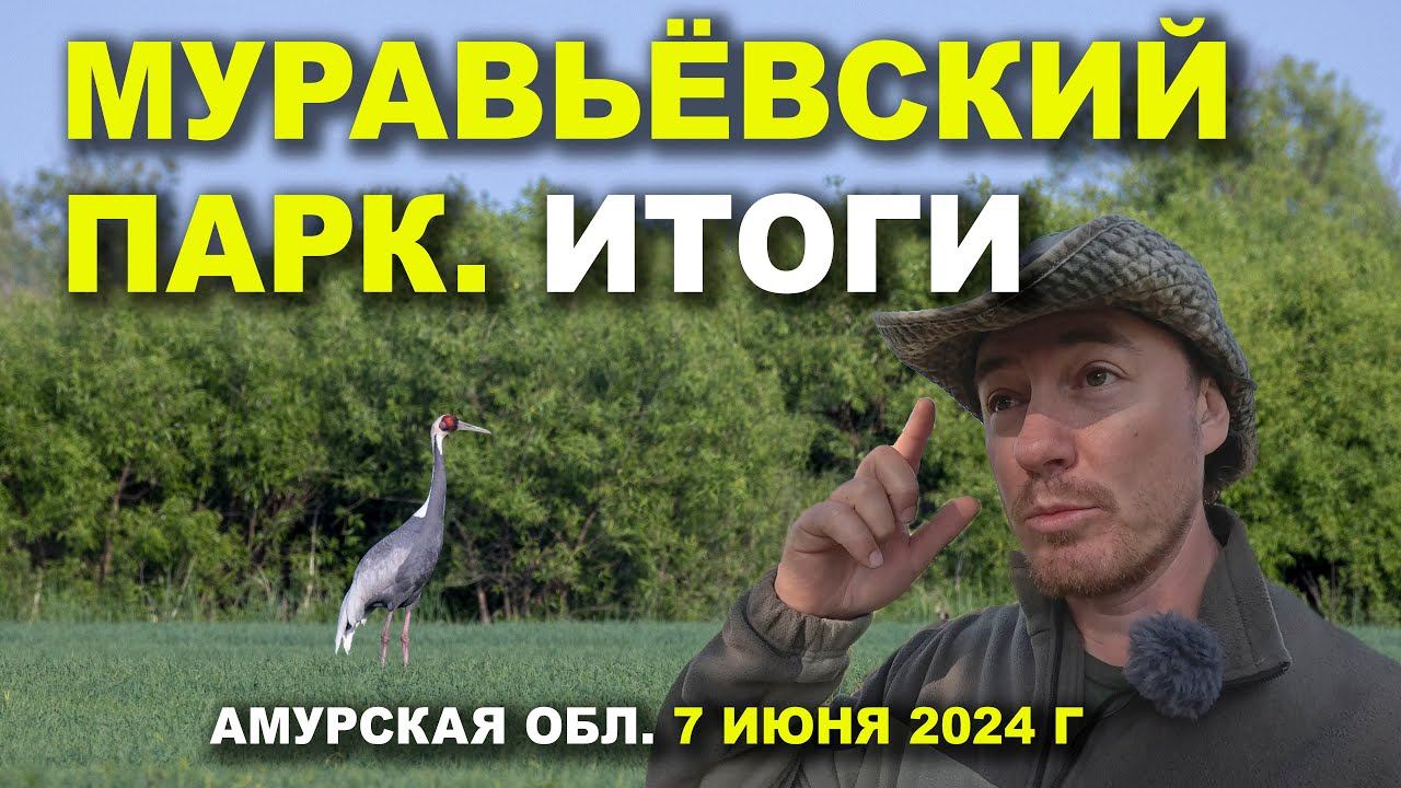 Муравьёвский парк. 3/3. Итоги. 7 июня 2024 г. смотреть онлайн