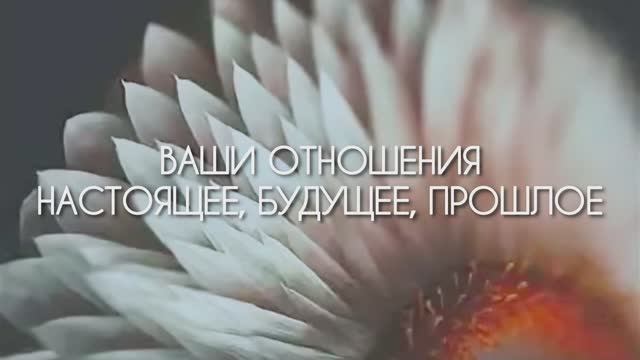 Расклад на отношения. Рунический расклад. смотреть онлайн