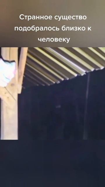 паронормалное 9 смотреть онлайн