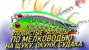 ЛУЧШИЕ ВОБЛЕРЫ НА ЩУКУ ПО МЕЛКОВОДЬЮ! ОБЗОР НОВЫХ ПРИМАНОК НА ЩУКУ, ОКУНЯ СУДАКА И ЖЕРЕХА