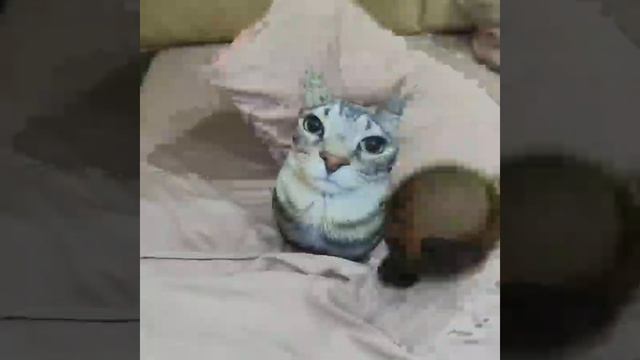 # смотреть онлайн