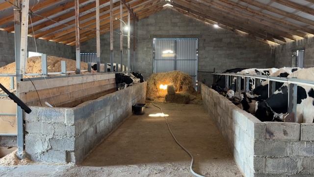 24-12-2025 г. Животновод смотреть онлайн