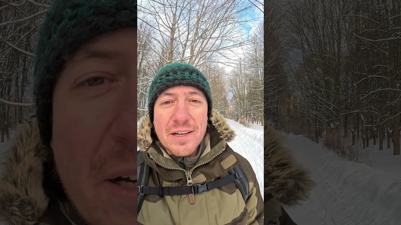 Можно ли кормить птиц гречкой? #shorts смотреть онлайн