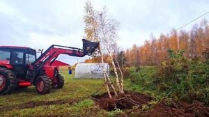 Ep.332 Digging Up Roots (Russian Subtitles)