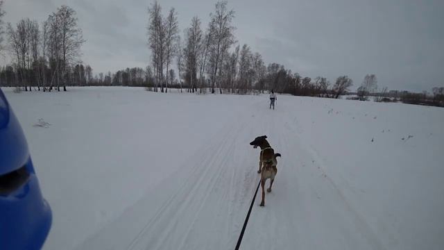 Сриджоринг.