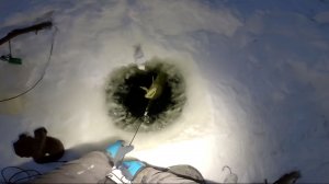 Рыбалка у чёрной дыры, ловля налима. Двадцать шестая серия.