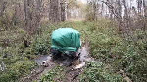 34. Чага. Сбор осенью в октябре. Клещи атакуют!!!