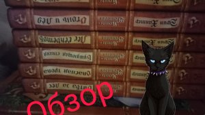 Обзор на книги коты-воители