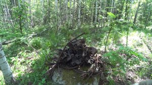 ХОЖУ ПО ЛЕСНЫМ ВЫРУБАМ 70-х годов, ИЩУ ВСЕВОЗМОЖНЫЕ ЗАПЧАСТИ ОТ ТРАКТОРОВ. ДЕЛАЮ СХРОНЫ НА ЗИМУ!