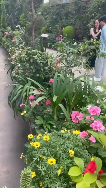 Дом цветов в Сингапуре #dreamway #сингапур #путешествия #туризм #flowerdome #shorts #shortsvideo смотреть онлайн