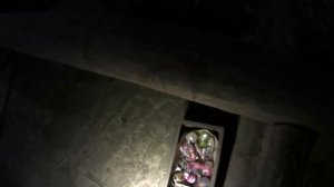 Недавно покинутая деревня Ярославской области