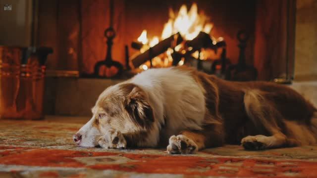 Chris Rea - Driving Home For Christmas смотреть онлайн