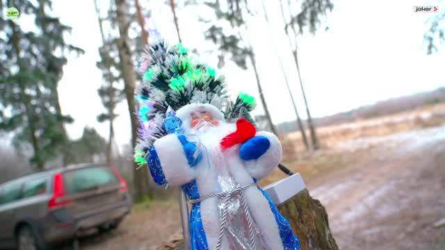 Предновогодняя встреча Oting Paladin 2025