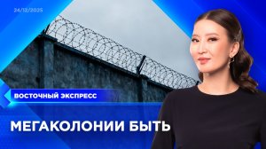 Когда мегаколония появится в Улан-Удэ | «Восточный экспресс» | новости Бурятии