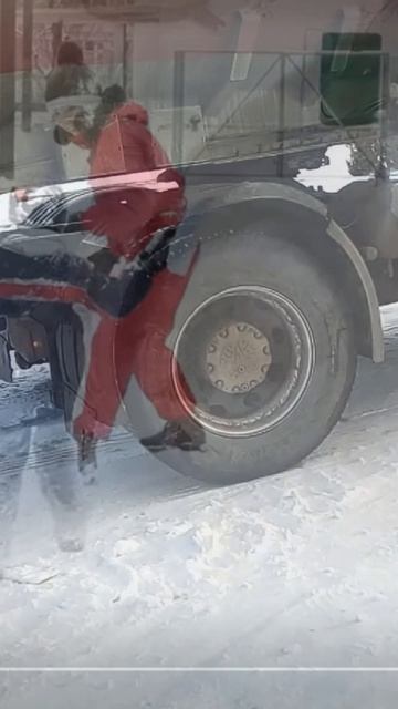 Побег кота в деревню. смотреть онлайн