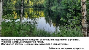 Экологическое соЗнание