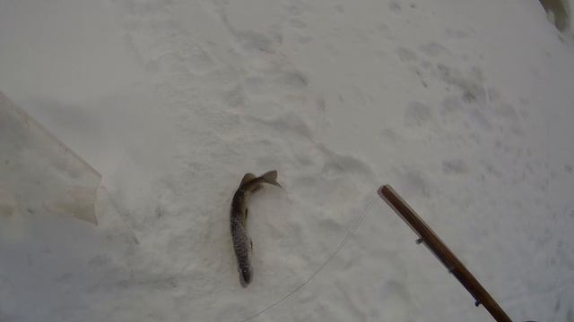 двушка 24.12.25 смотреть онлайн