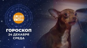 Гороскоп на 24 декабря. Доброе утро. Фрагмент выпуска от 24.12.2025