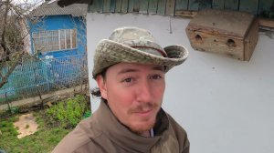 Кто заселился в домиках в саду