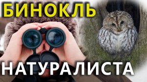 Бинокль для натуралиста: обзор GAUT Avior, Polaris, Atlas 10x