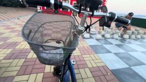 Анфиса отправляется на прогулку по парку и впервые увидела ЧУЖИХ ГАМАДРИЛ)