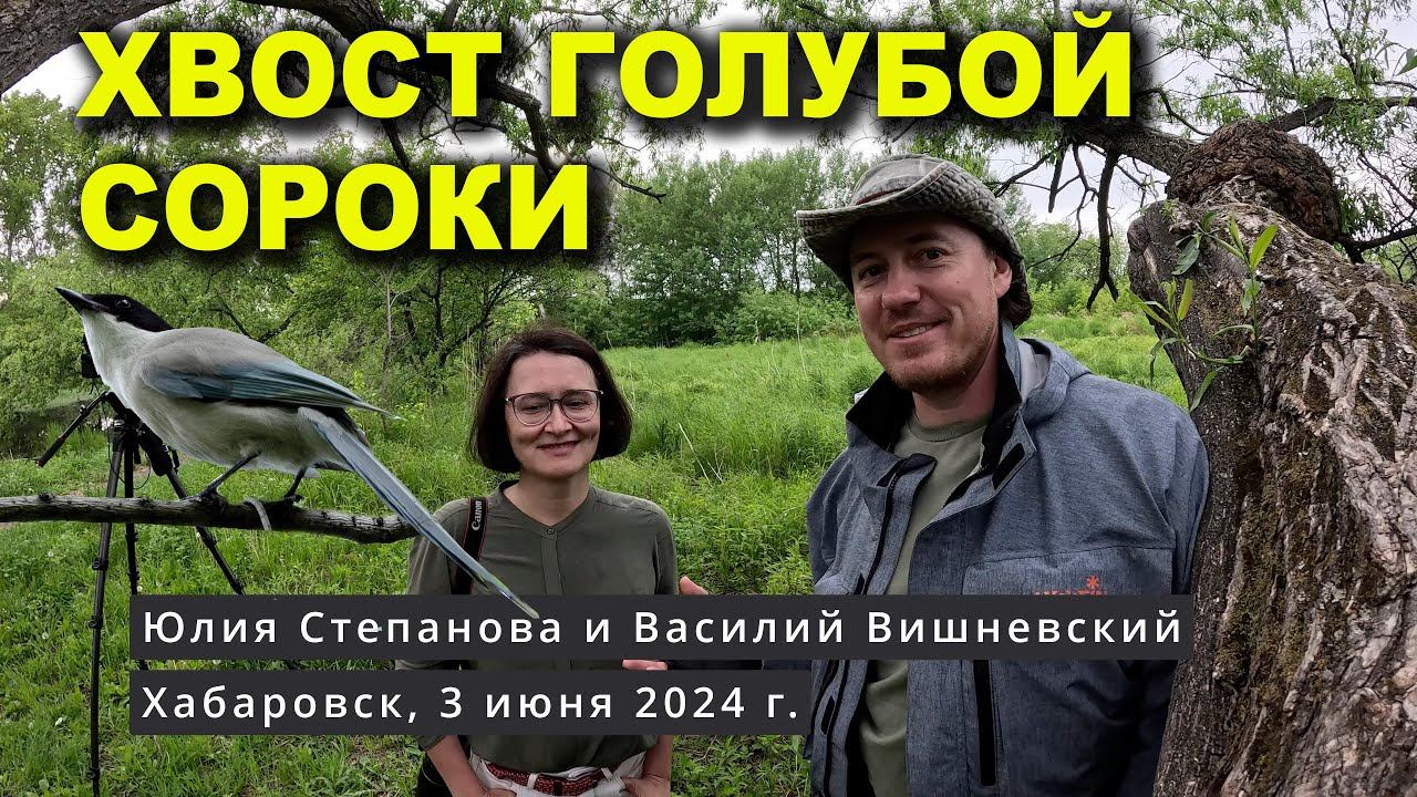 Птицы питомника им. Лукашова. Хабаровск. Дневник 3 июня 2024 смотреть онлайн