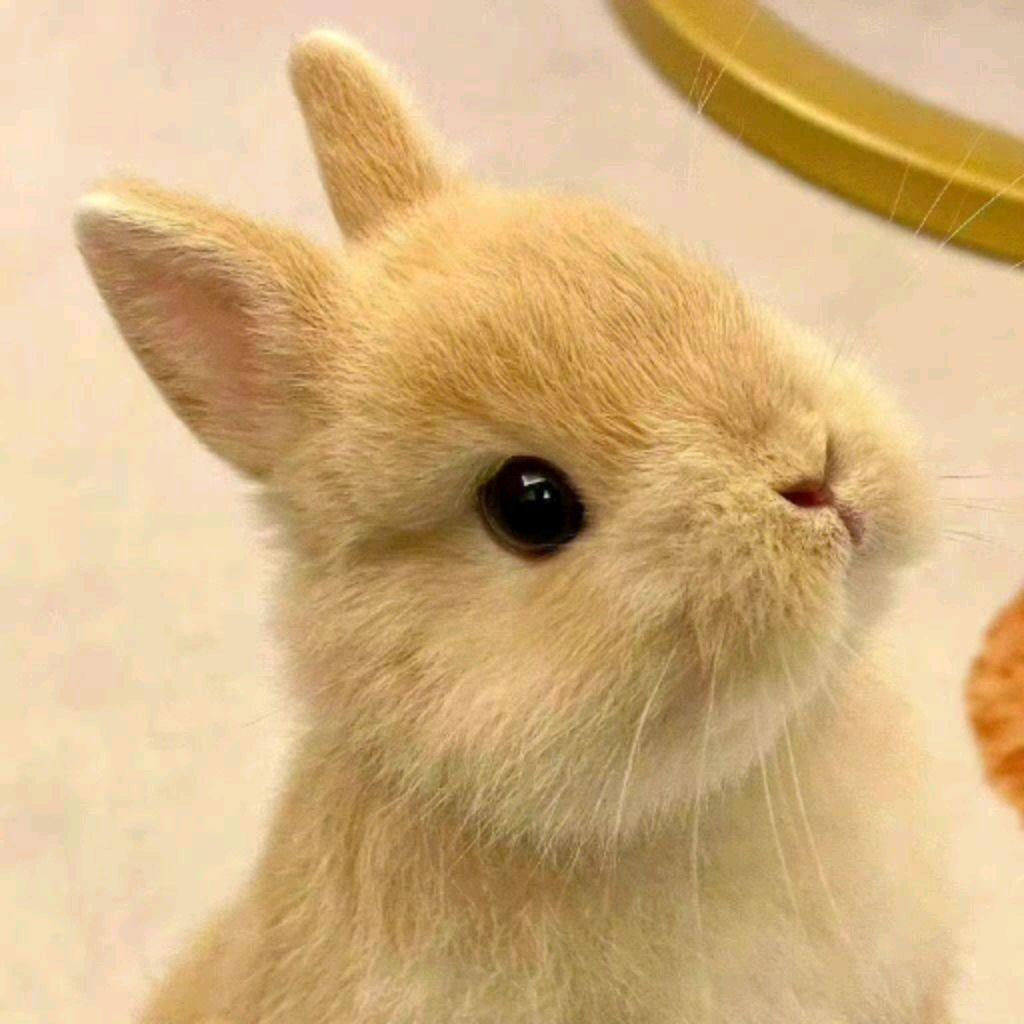 делаю уроки и ищу в школе пожелайте удачи смотреть онлайн