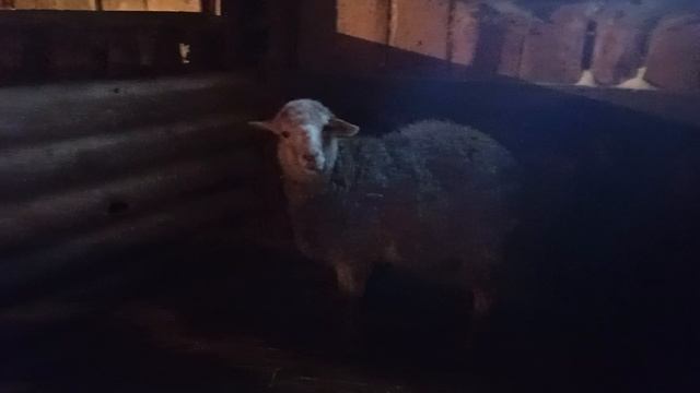 Обзор хозяйства смотреть онлайн