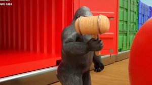 Машинки | разноцветные шарики и фрукты | Залипалки