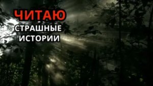 ЧИТАЮ Страшные истории ( Стрим 12 )
