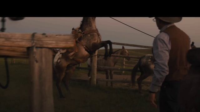 ранчо.mp4 смотреть онлайн