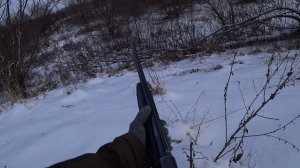 Фартовый заяц!!!