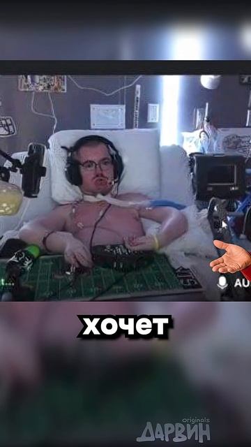 Новая икона скама смотреть онлайн