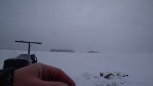 ЩУКА НА ЖЕРЛИЦЫ! РЫБАЛКА НА МОТОБУКСИРОВЩИКЕ.