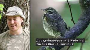 Кукушка 25%. Дневник натуралиста. 1-10 июня 2023 г.