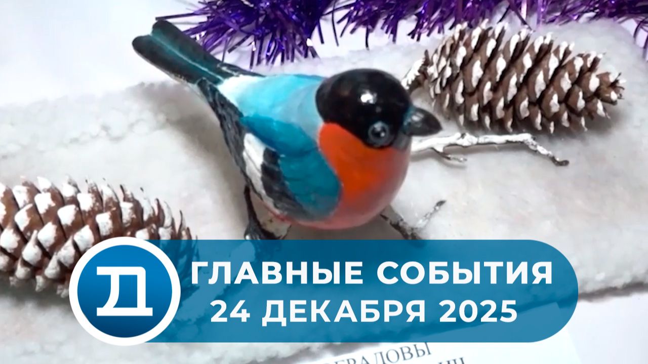 24.12.2025 Домодедово. Главные события. смотреть онлайн