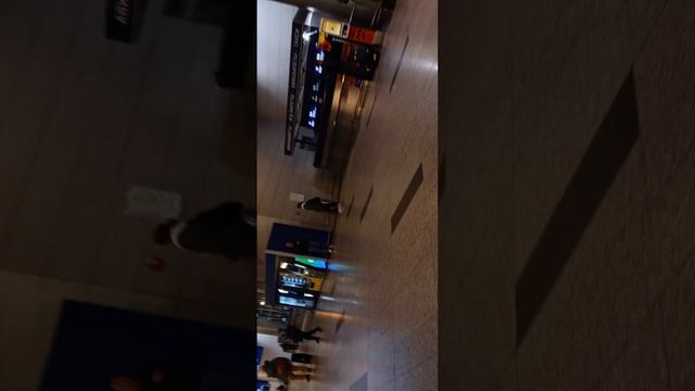 12-10-2025 АЭРОПОРТ ВНУКОВО ЧАСТЬ-17 смотреть онлайн