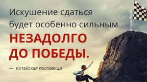 Не умею сдаваться