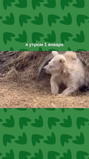 Утро 1 января 🤣 #foodru #рецепты #юмор смотреть онлайн