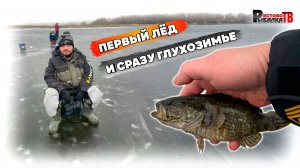 Первый лёд и сразу глухозимье.