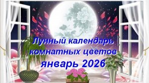 Лунный календарь комнатных растений и цветов на январь 2026 года