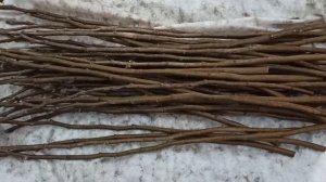 Оптовая продажа со скидкой 70 % на черенки инжира " Гибрид Кадоты" Тел и WhatsApp 8-918-43-794-43.