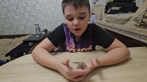1000085617.mp4как приручить эублефара