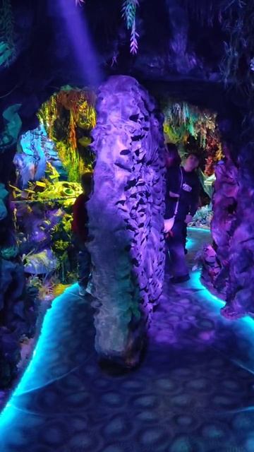 волшебный мир